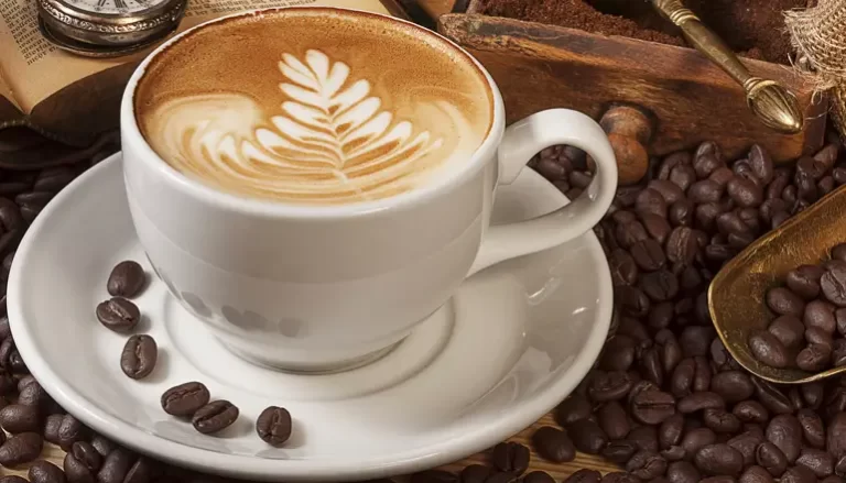 História dos Cafés Orgânicos do Brasil: Da Tradição à Sustentabilidade
