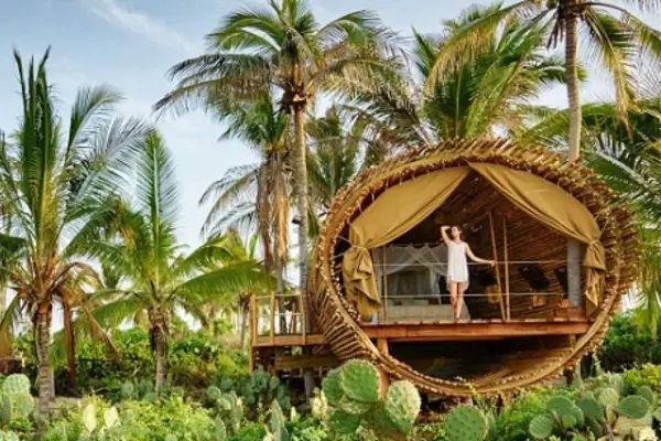 Novos Hotéis Ecológicos na Amazônia: Sustentabilidade com Energia Solar e Preservação Florestal