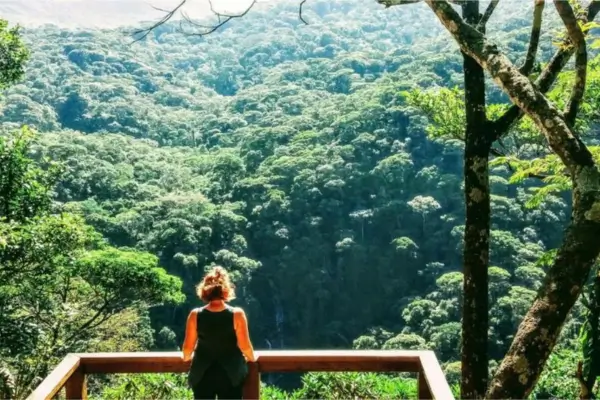 Roteiros de Trekking para Aventureiros em Parques Nacionais