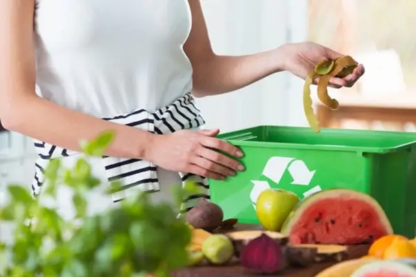 Culinária Local Sustentável para Viajantes em Feiras Gastronômicas