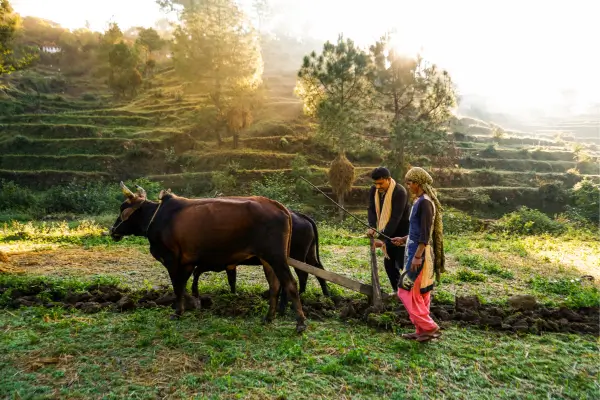 Descubra as Melhores Estadias em Fazendas Sustentáveis: Refúgio Perfeito para Casais em Busca de Tranquilidade, Conexão com a Natureza e Experiências Inesquecíveis – Reserve Já e Transforme Seu Fim de Semana!