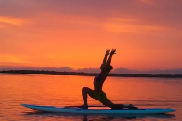 Vida Sustentável no Dia a Dia: Pequenas Mudanças, Grande Impacto
