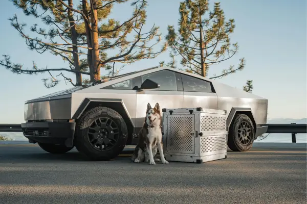 Carros Inteligentes: A Nova Era Elétrica e Autônoma 